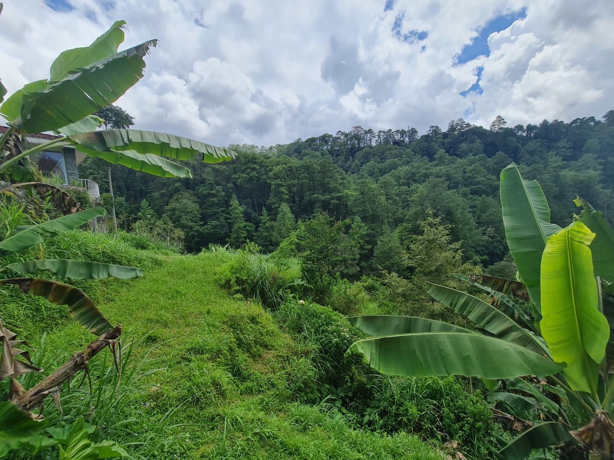 Tanah Pekarangan Istimewa Untuk Villa Di Tawangmangu - Foto 8