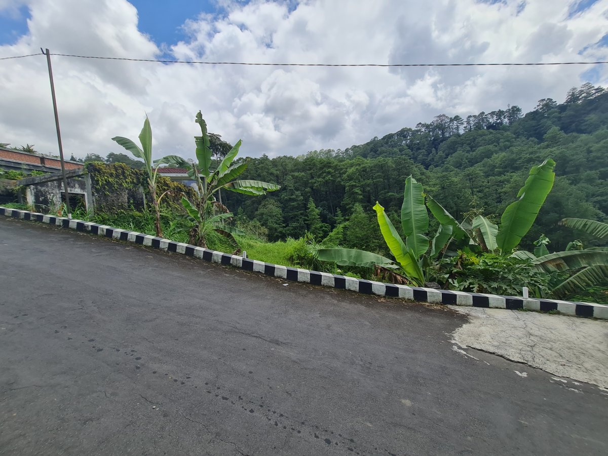 Tanah Pekarangan Istimewa Untuk Villa Di Tawangmangu - Foto 10