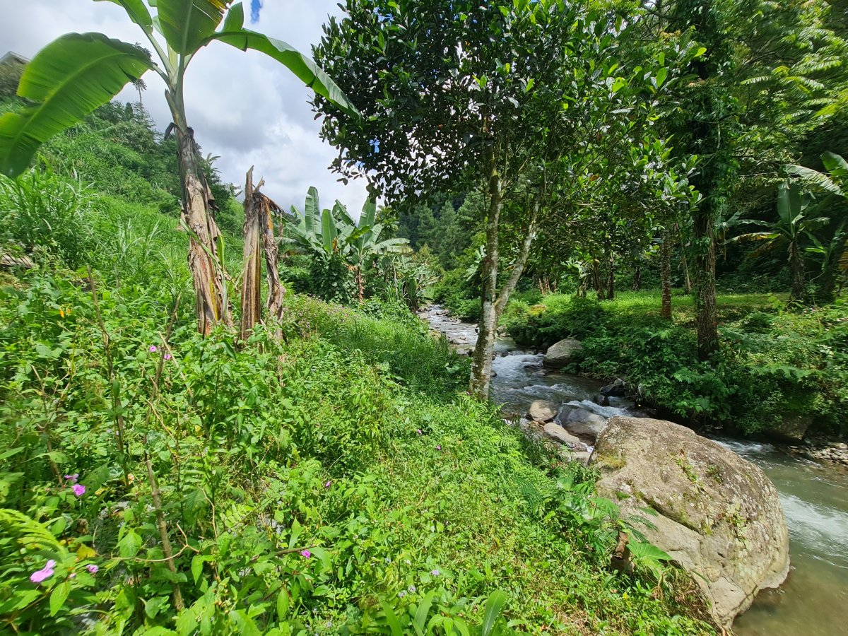 Tanah Pekarangan Istimewa Untuk Villa Di Tawangmangu - Foto 12