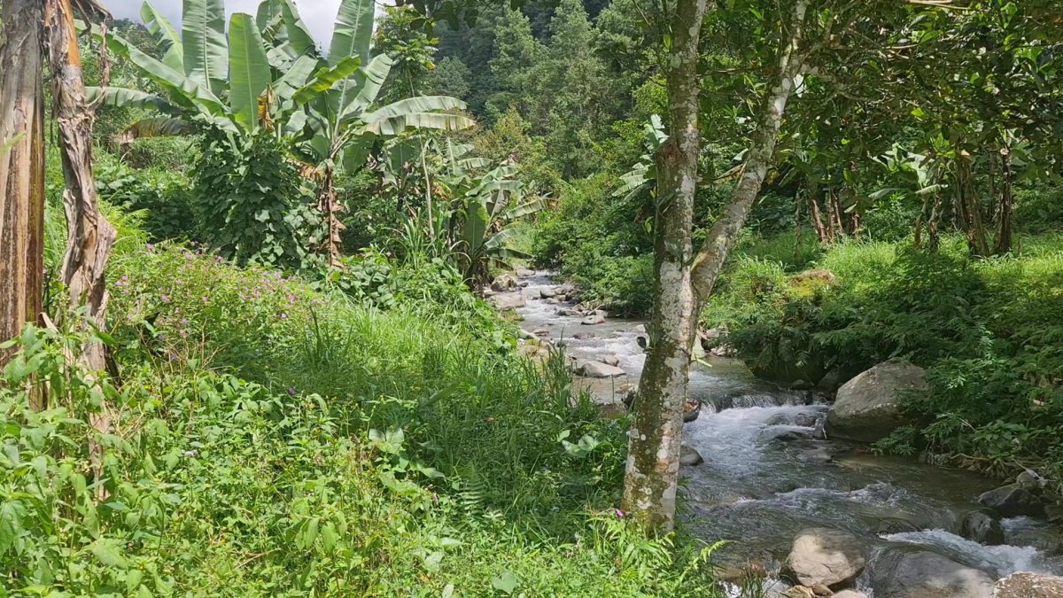 Tanah Pekarangan Istimewa Untuk Villa Di Tawangmangu - Foto 13