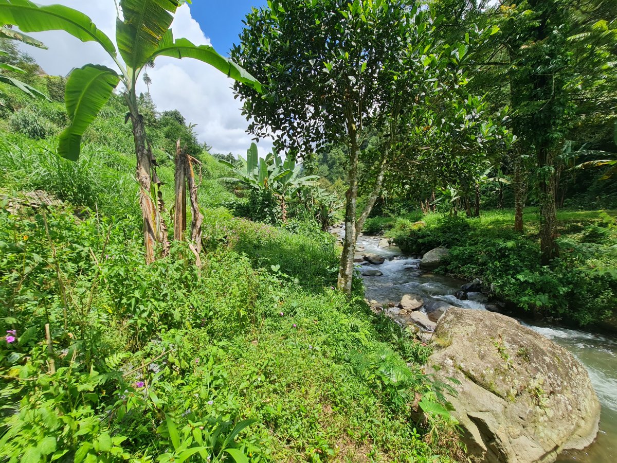 Tanah Pekarangan Istimewa Untuk Villa Di Tawangmangu - Foto 14