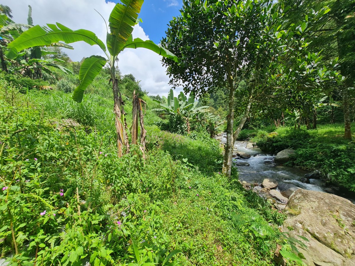 Tanah Pekarangan Istimewa Untuk Villa Di Tawangmangu - Foto 15