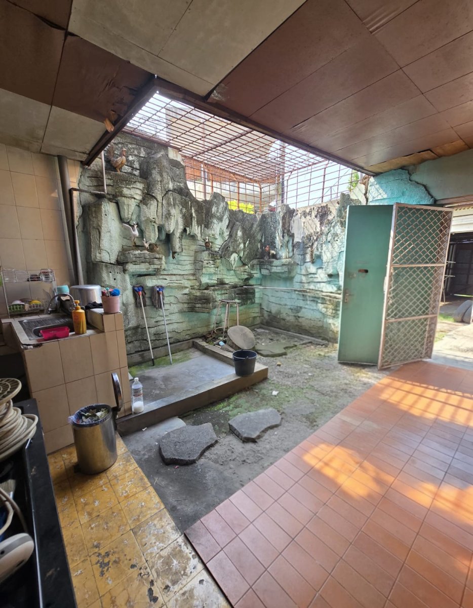 Rumah Strategis di Keprabon Solo Tengah Kota - Foto 15