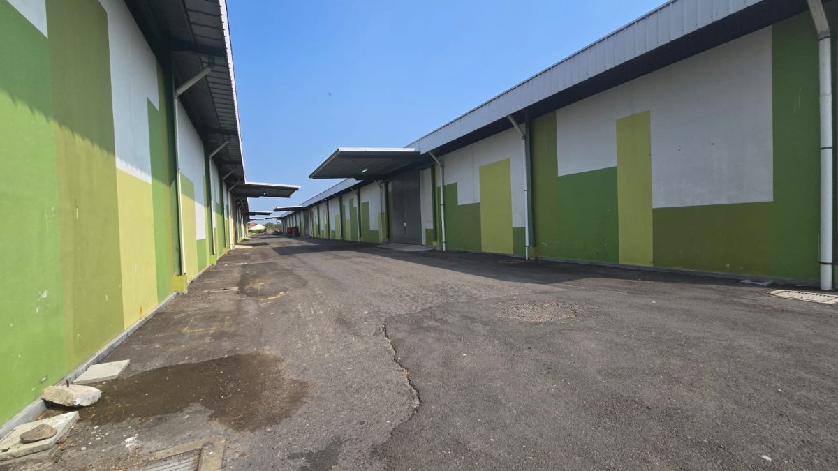 Pabrik Beras Siap Produksi di Sragen Jawa Tengah - Foto 8