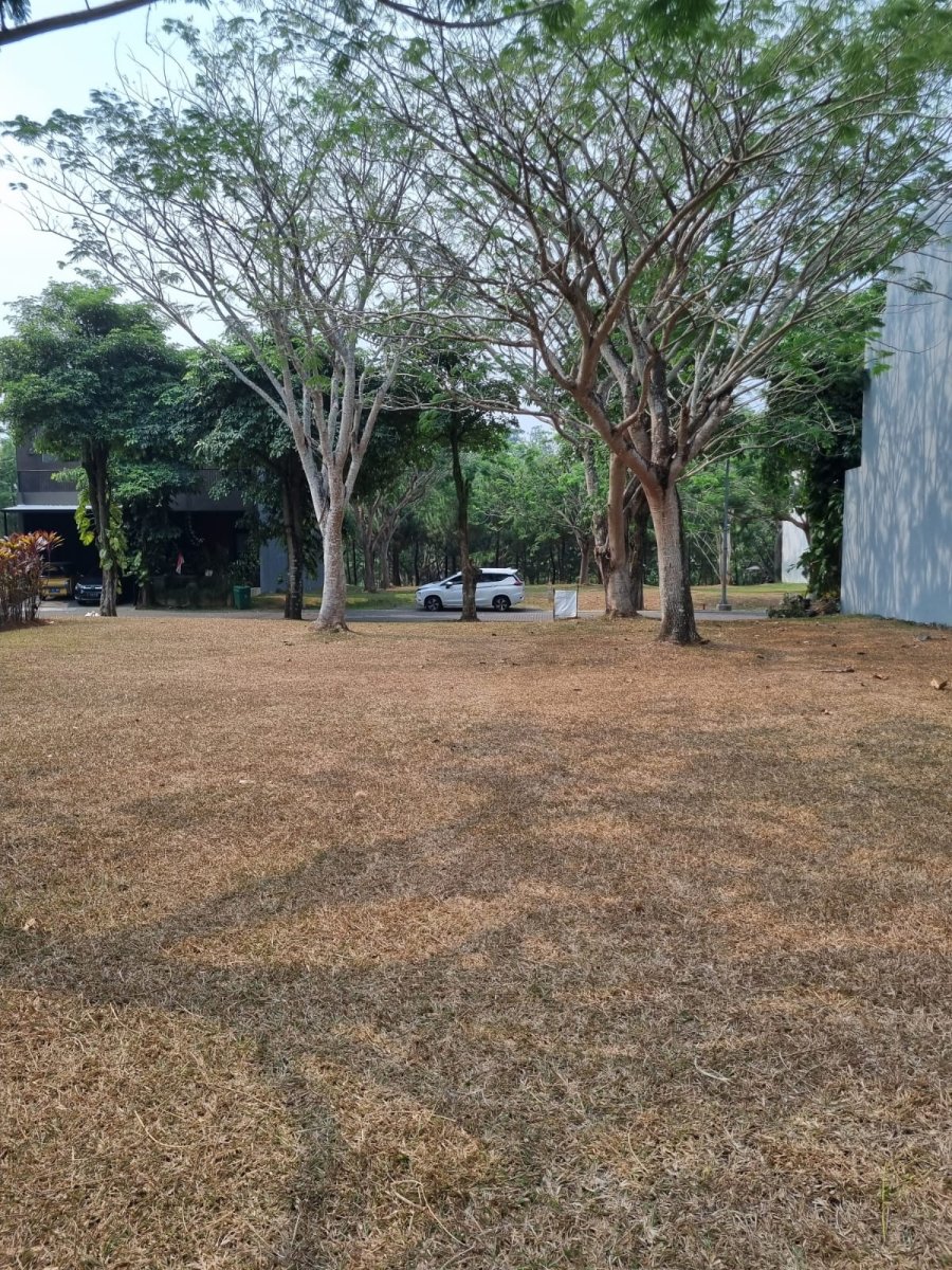 Jual Kavling Tanah Posisi Hoek Banci Cluster Inika di Avani BSD NC - Foto 4