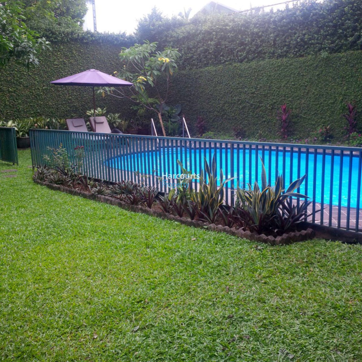 Dijual 2 Unit Rumah Dalam Komplek Area Kemang - Foto 10