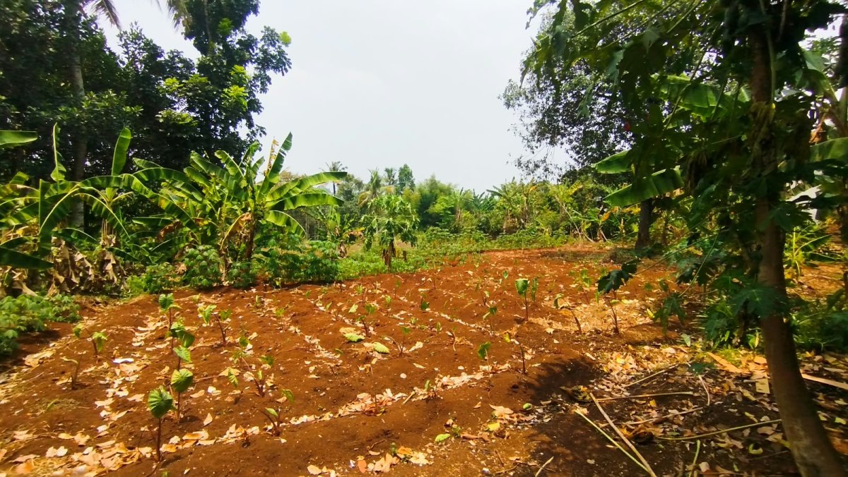 Dijual Tanah 1800m2, Di Kali Suren Dekat Dengan Jalur Alternatif Flyover Bomang - Foto 5