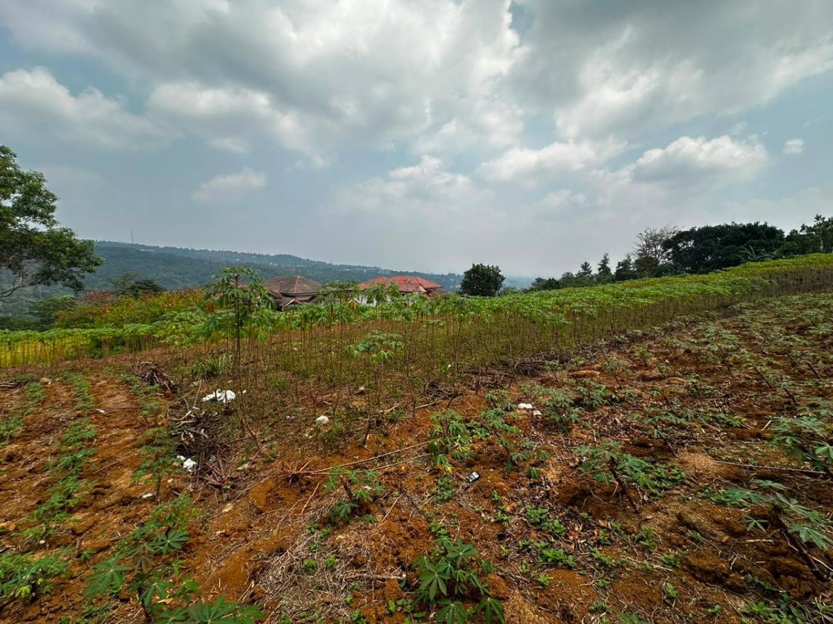Tanah Dijual Bukit Pelangi / Rainbow Hills, Cijayanti, Bogor - Properti | Harcourts