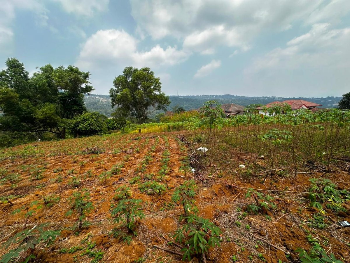 Tanah Dijual Bukit Pelangi / Rainbow Hills, Cijayanti, Bogor - Foto 2