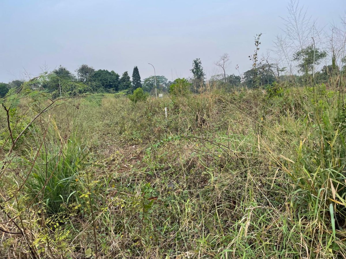 Exclusive Land for Sale — Emeralda Golf Blok B No. 30 (630 m²) - Foto 10