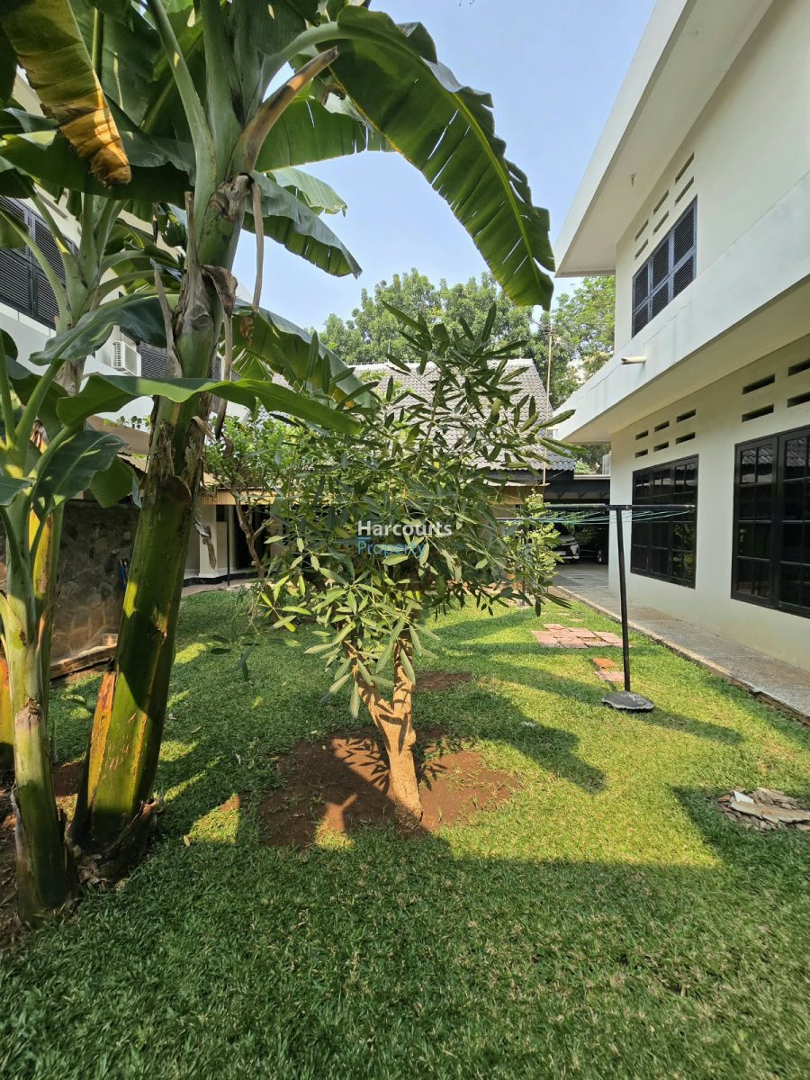 Disewakan Rumah Siap Huni Bisa untuk Usaha/Kantor Area Kebayoran Baru - Foto 15