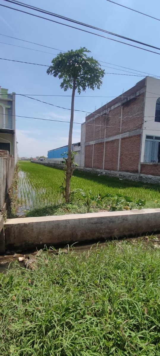 Tanah Pekarangan Siap Bangun Strategis di Mojolaban, Sukoharjo - Foto 4