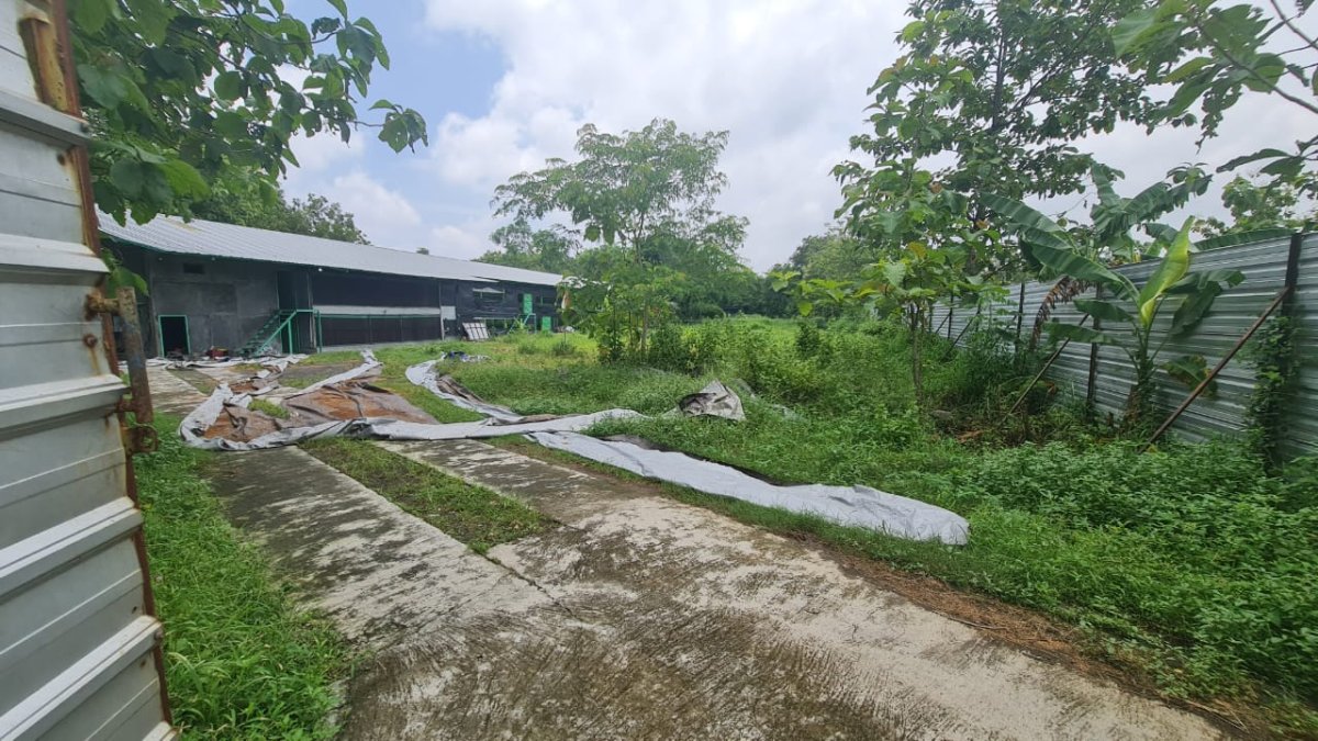 Kandang Ayam Aktif Kapasitas 30.000 Ekor di Plesungan, Mojosongo Solo - Properti | Harcourts