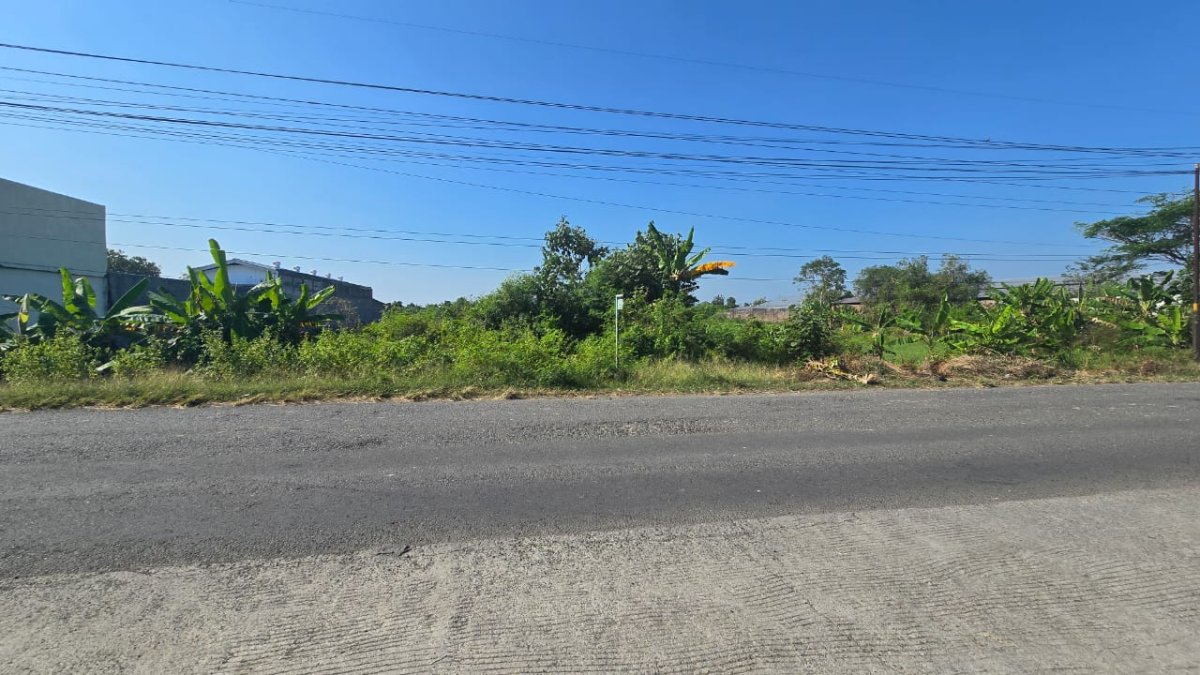 Tanah Zona Industri di Serenan Klaten Jawa Tengah - Foto 3