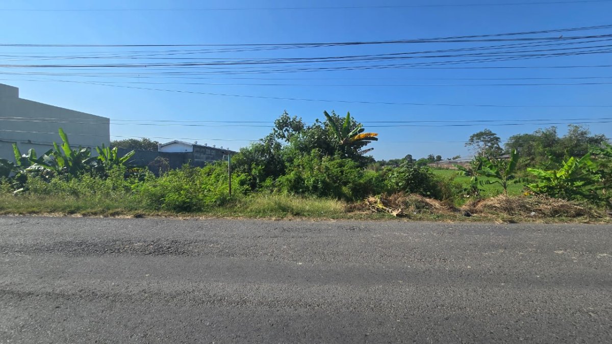 Tanah Zona Industri di Serenan Klaten Jawa Tengah - Foto 2