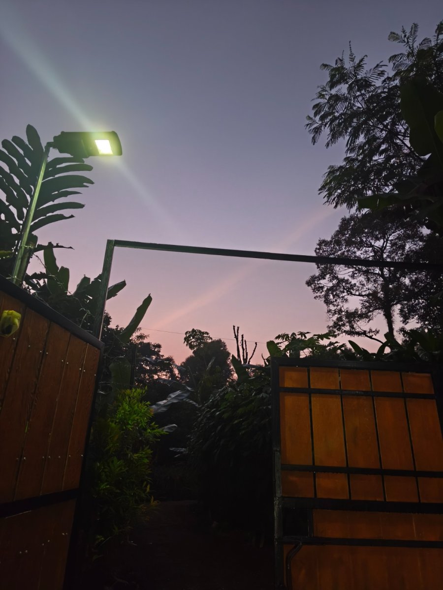 Rumah Kayu Asri di Tengah Kehijauan - Foto 3
