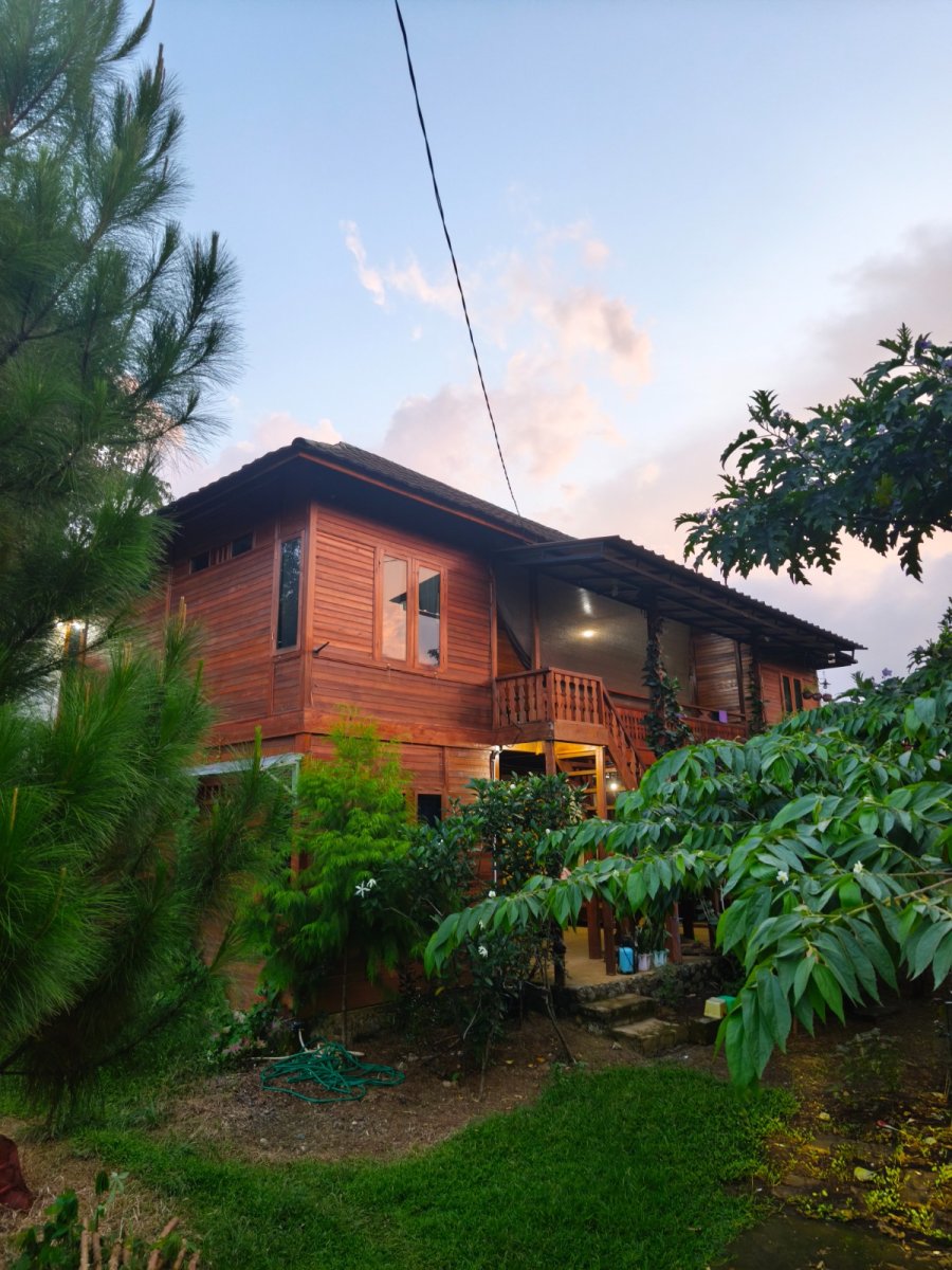 Rumah Kayu Asri di Tengah Kehijauan - Foto 2