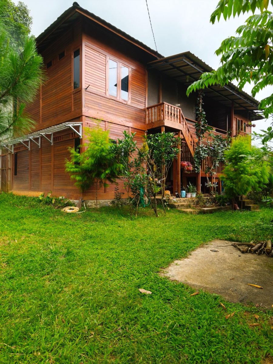 Rumah Kayu Asri di Tengah Kehijauan - Foto 14