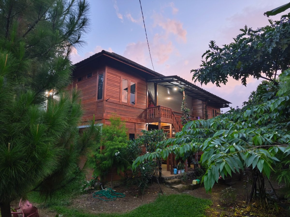 Rumah Kayu Asri di Tengah Kehijauan - Foto 6