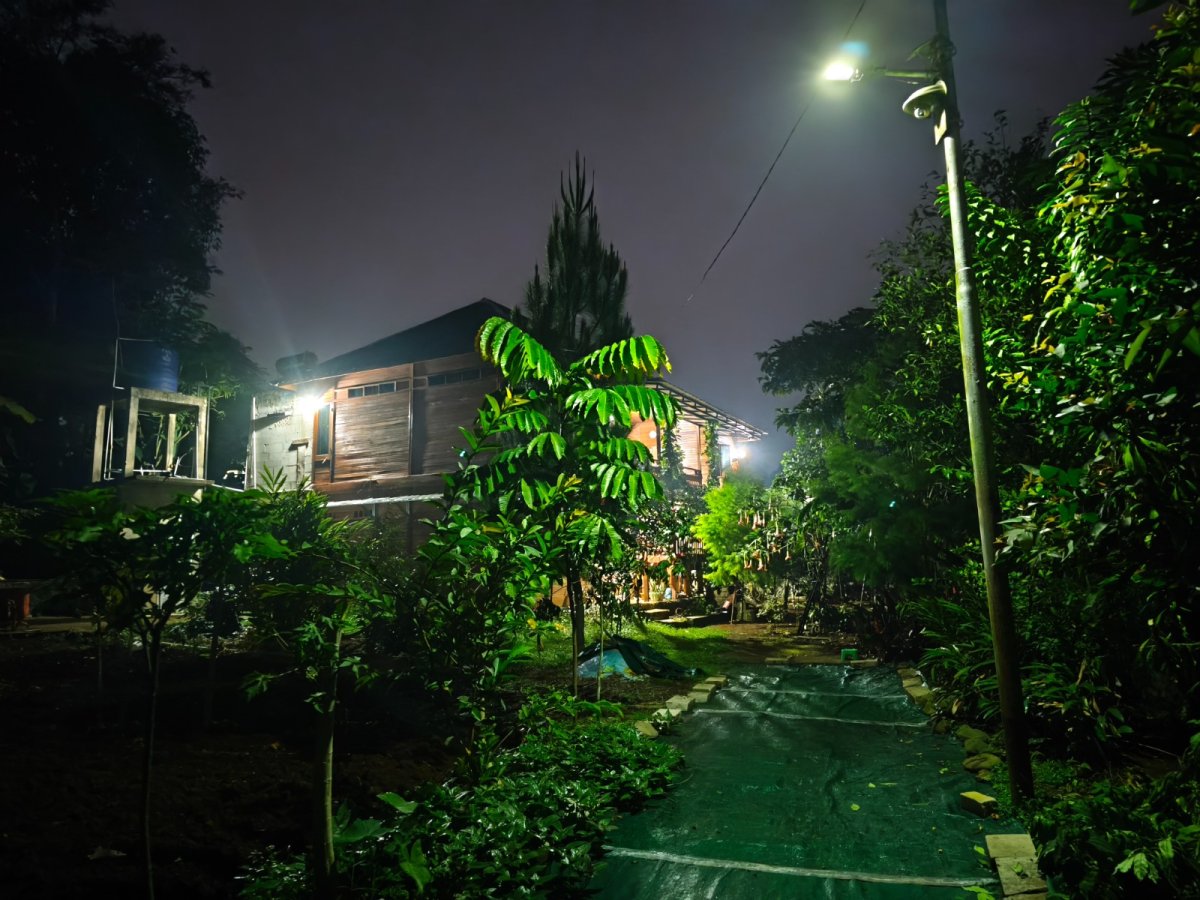 Rumah Kayu Asri di Tengah Kehijauan - Foto 9