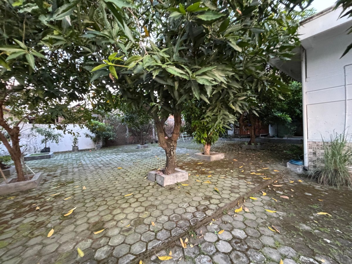 Rumah Strategis di Tegalrejo, Jebres, Solo - Foto 4