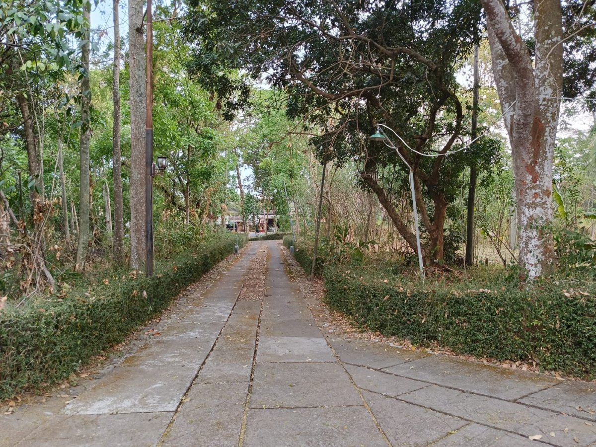 DI JUAL RUMAH JOGLO HOME STAY VILLA - Foto 3