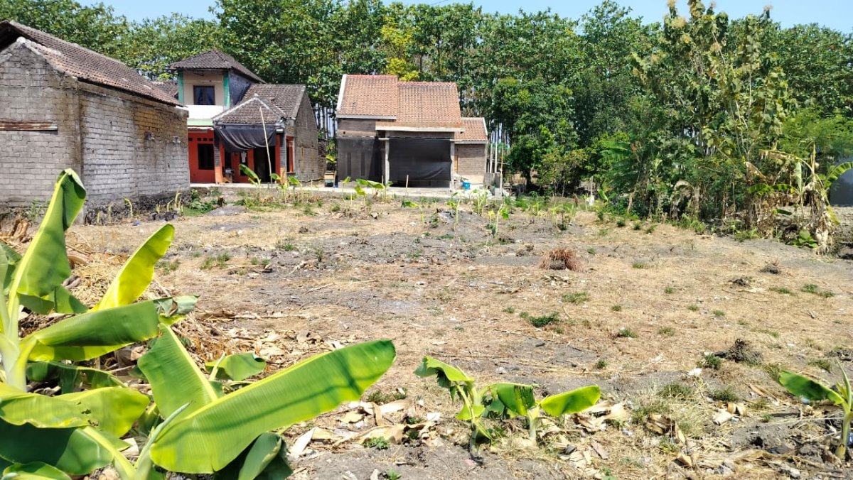 Tanah Padat Siap Bangun Cocok untuk Rumah & Gudang di Jatikuwung, Plesungan, Karanganyar - Foto 2
