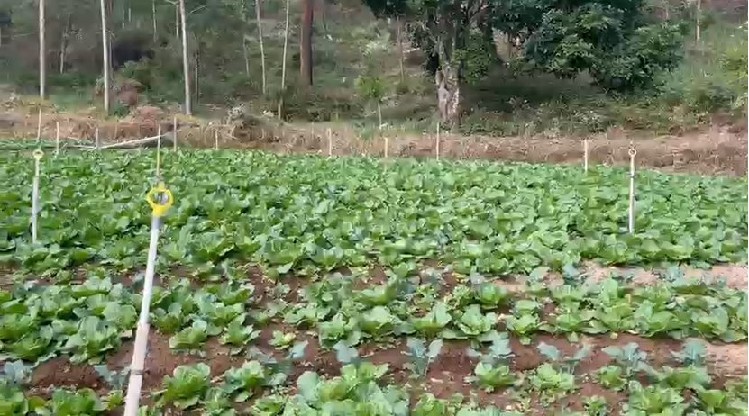 Dijual Tanah di Tawangmangu Dekat The Lawu Park - Foto 3