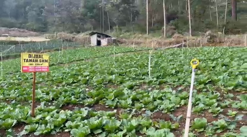 Dijual Tanah di Tawangmangu Dekat The Lawu Park - Foto 4