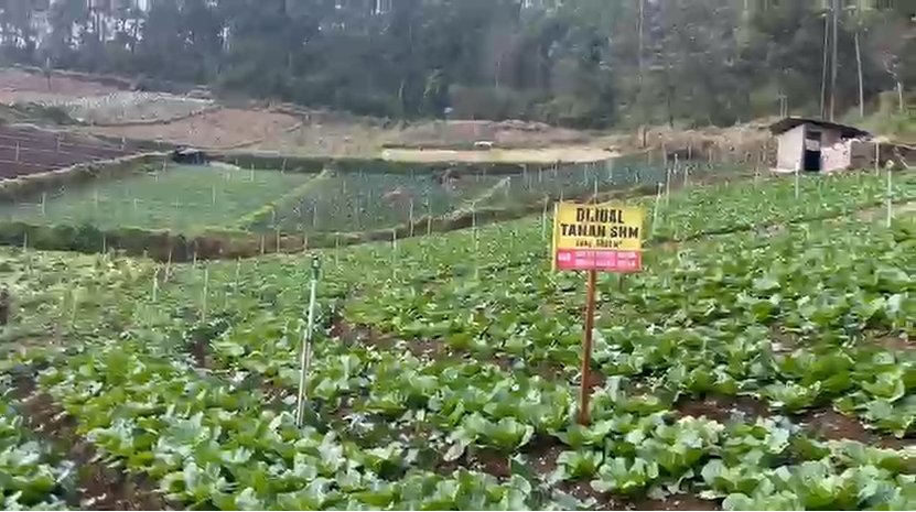 Dijual Tanah di Tawangmangu Dekat The Lawu Park - Foto 5