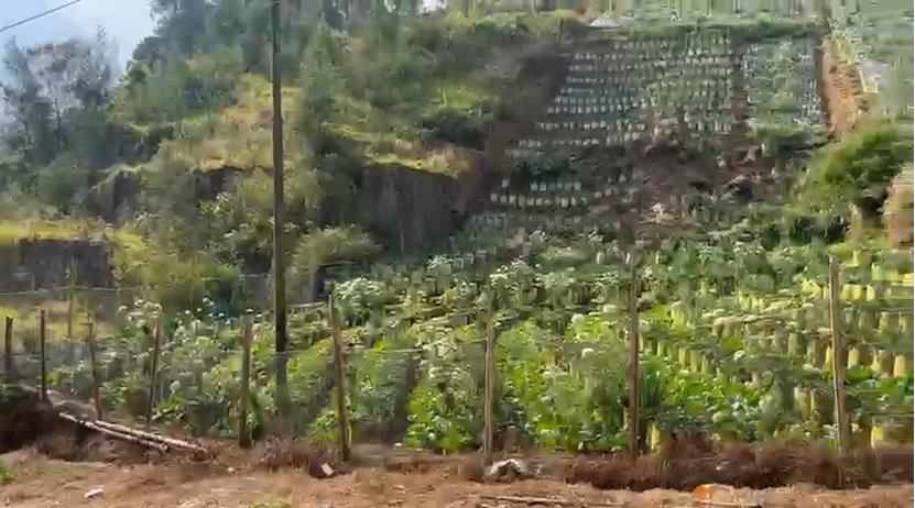 Dijual Tanah di Tawangmangu Dekat The Lawu Park - Foto 3