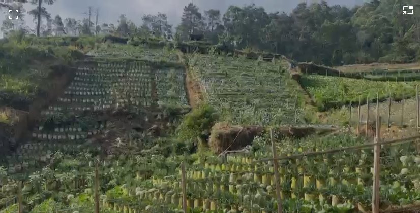 Dijual Tanah di Tawangmangu Dekat The Lawu Park - Foto 5