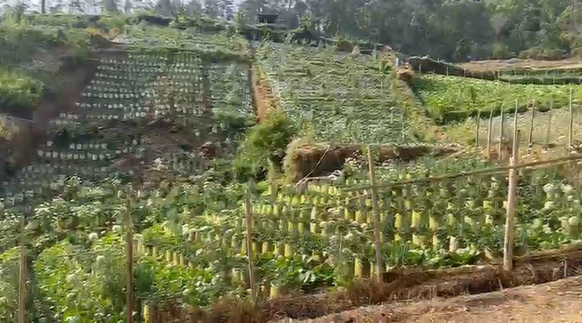 Dijual Tanah di Tawangmangu Dekat The Lawu Park - Foto 4