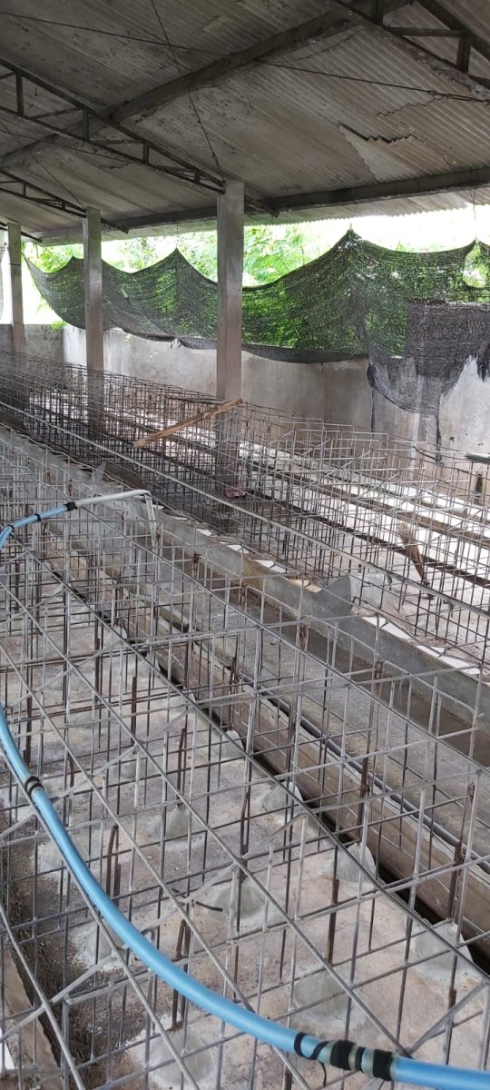 Eks Kandang Babi di Kompleks Peternakan, Karanganyar - Foto 12