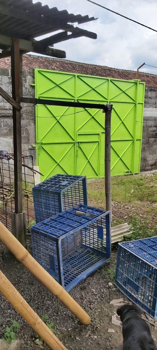 Eks Kandang Babi di Kompleks Peternakan, Karanganyar - Foto 8