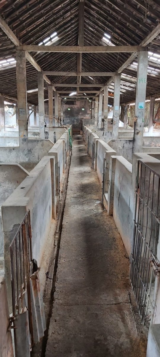 Eks Kandang Babi di Kompleks Peternakan, Karanganyar - Foto 3