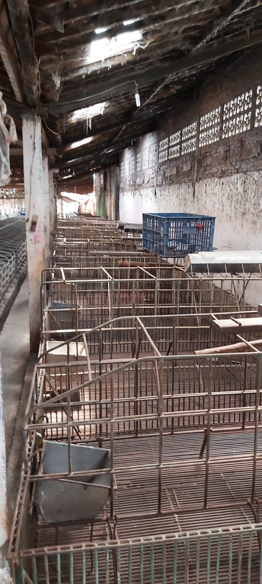 Eks Kandang Babi di Kompleks Peternakan, Karanganyar - Foto 10
