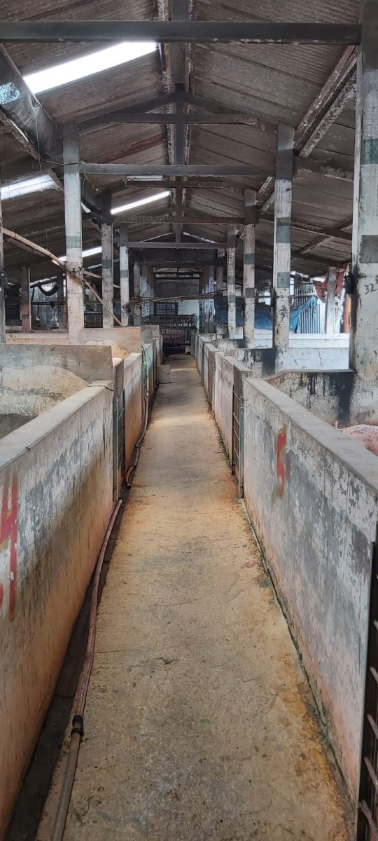 Eks Kandang Babi di Kompleks Peternakan, Karanganyar - Foto 15