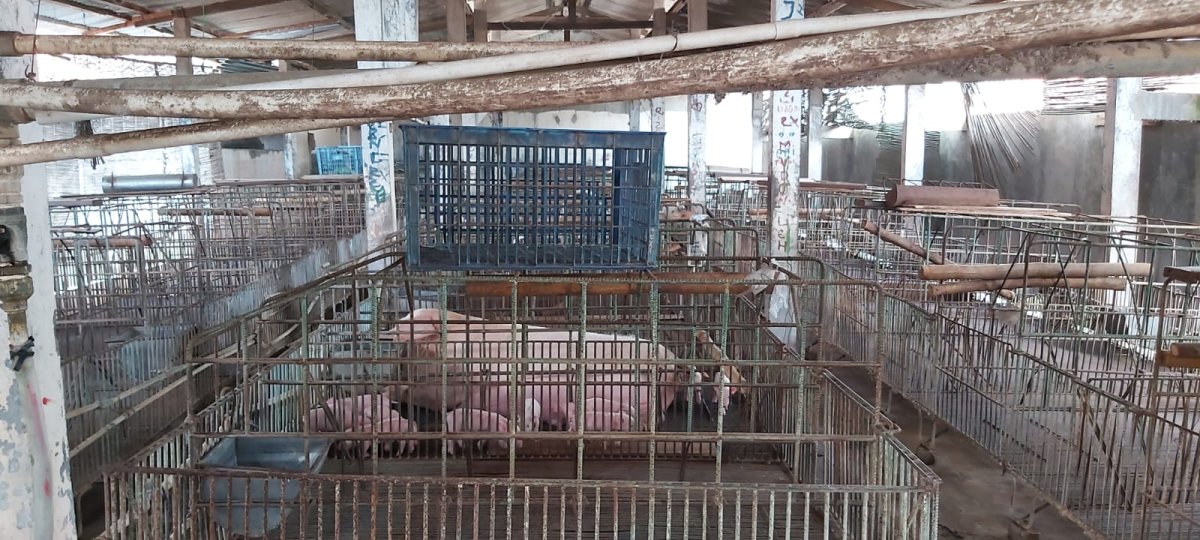 Eks Kandang Babi di Kompleks Peternakan, Karanganyar - Foto 9