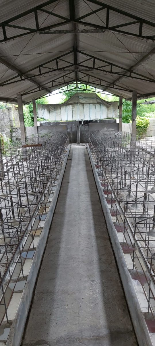 Eks Kandang Babi di Kompleks Peternakan, Karanganyar
