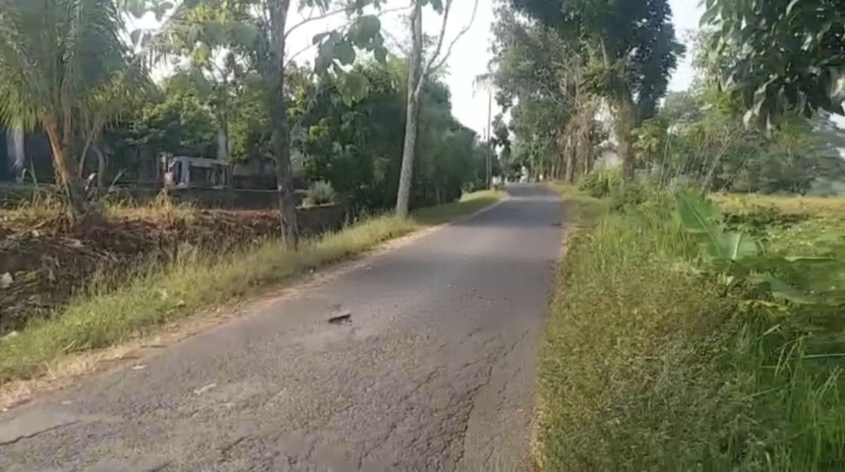 Tanah Bonus Gudang Strategis di Karanganyar - Foto 7