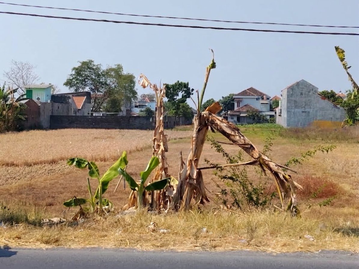 Tanah Strategis Pinggir Jalan Provinsi di Mojolaban, Solo - Properti | Harcourts