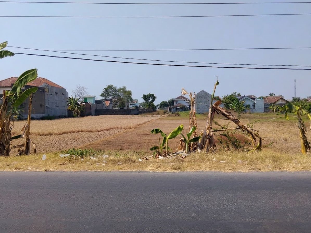 Tanah Strategis Pinggir Jalan Provinsi di Mojolaban, Solo - Foto 4
