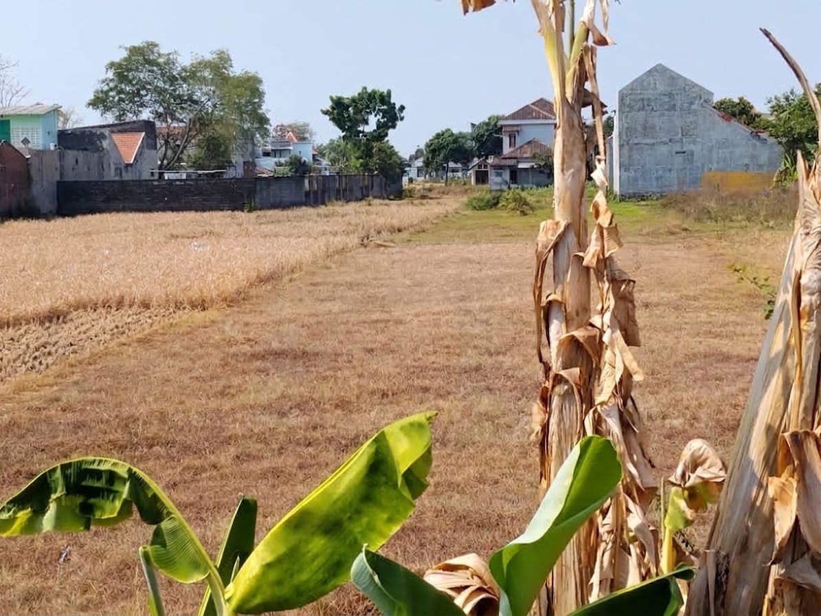 Tanah Strategis Pinggir Jalan Provinsi di Mojolaban, Solo - Foto 2