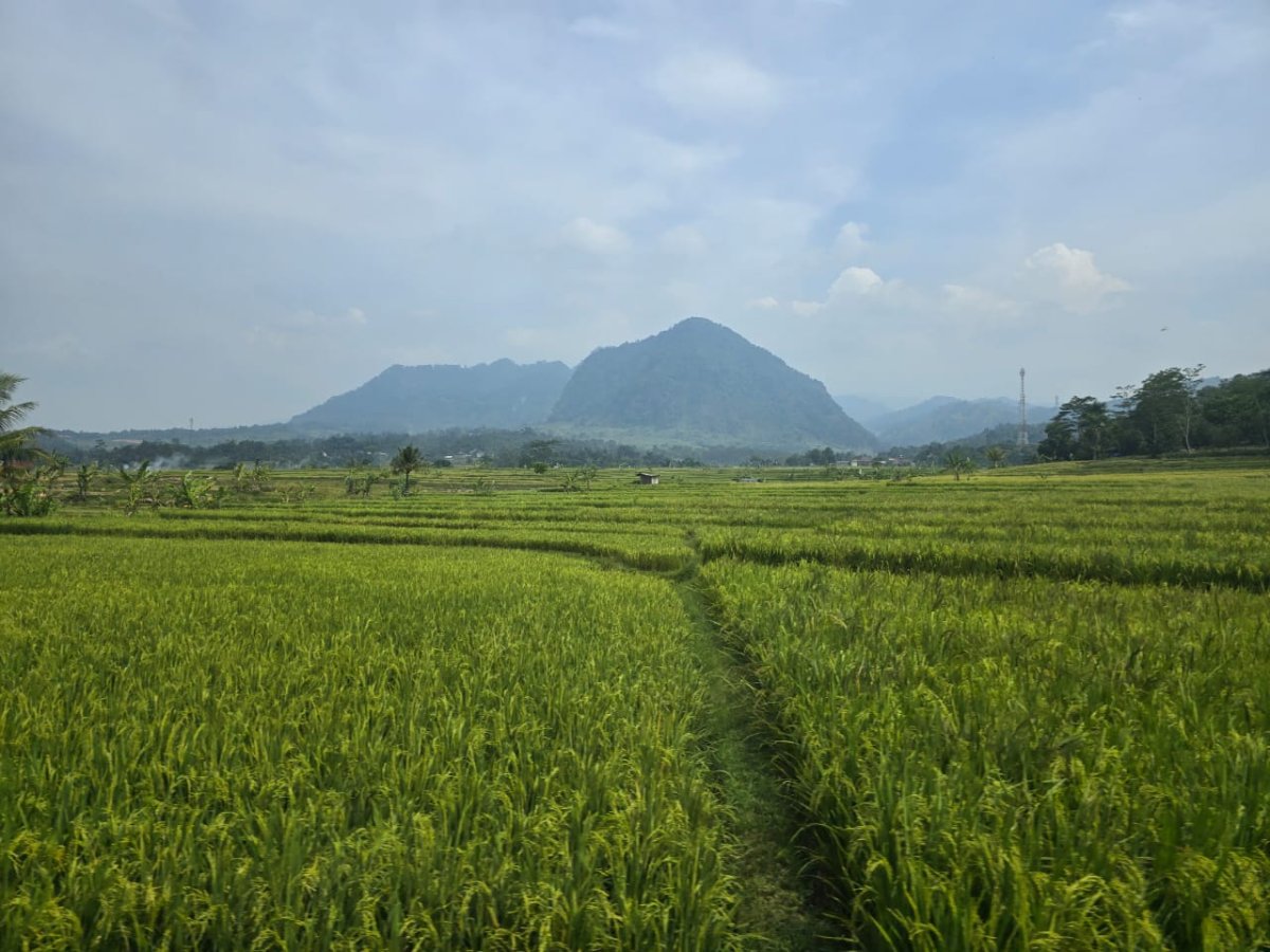Jual lahan view indah 415 hektar, timur dari Sentul Highland, Kabupaten Bogor - Foto 4