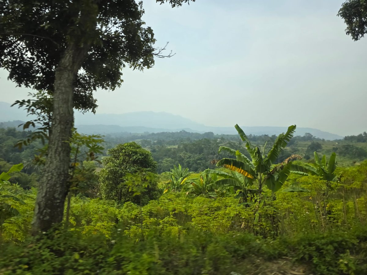 Jual lahan view indah 415 hektar, timur dari Sentul Highland, Kabupaten Bogor - Foto 5