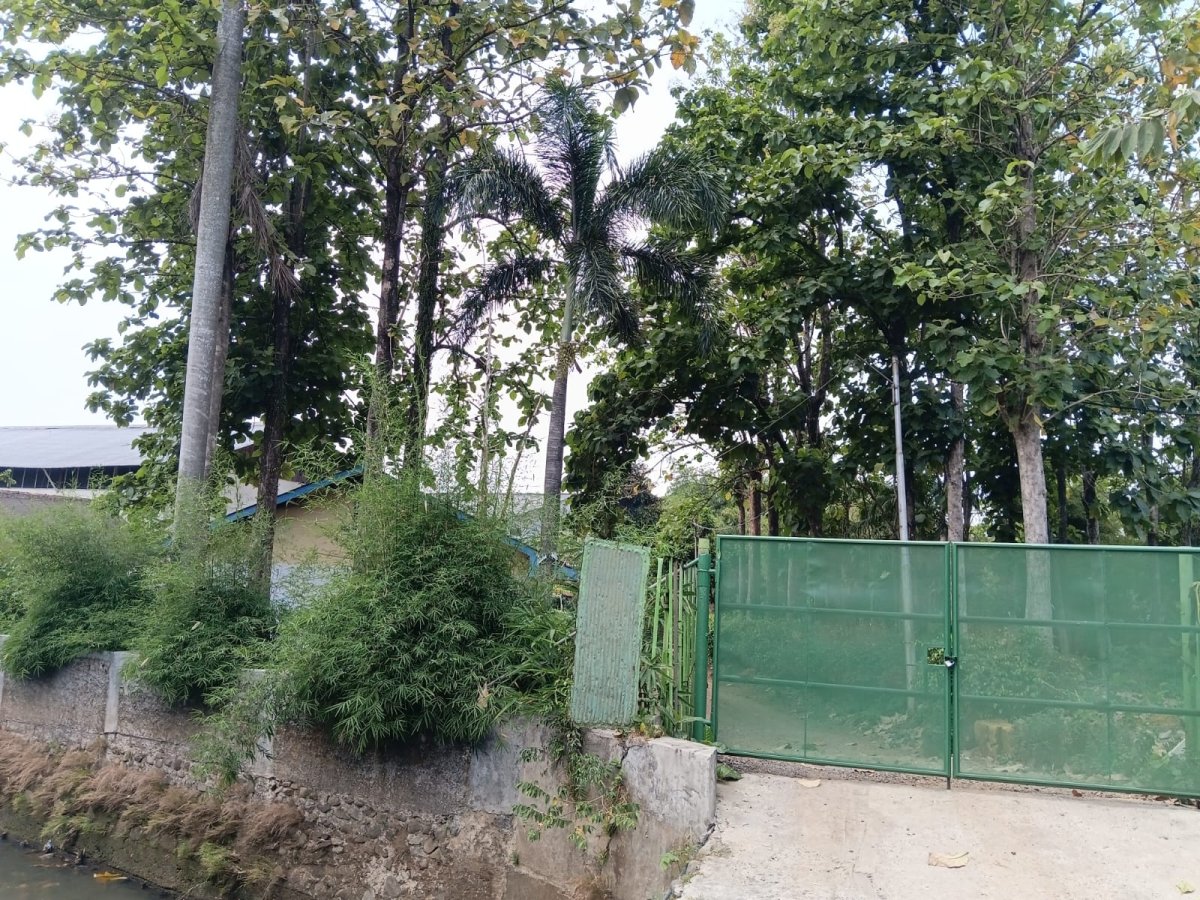 Tanah Asri di Jl. Pangeran Sogiri - Foto 2