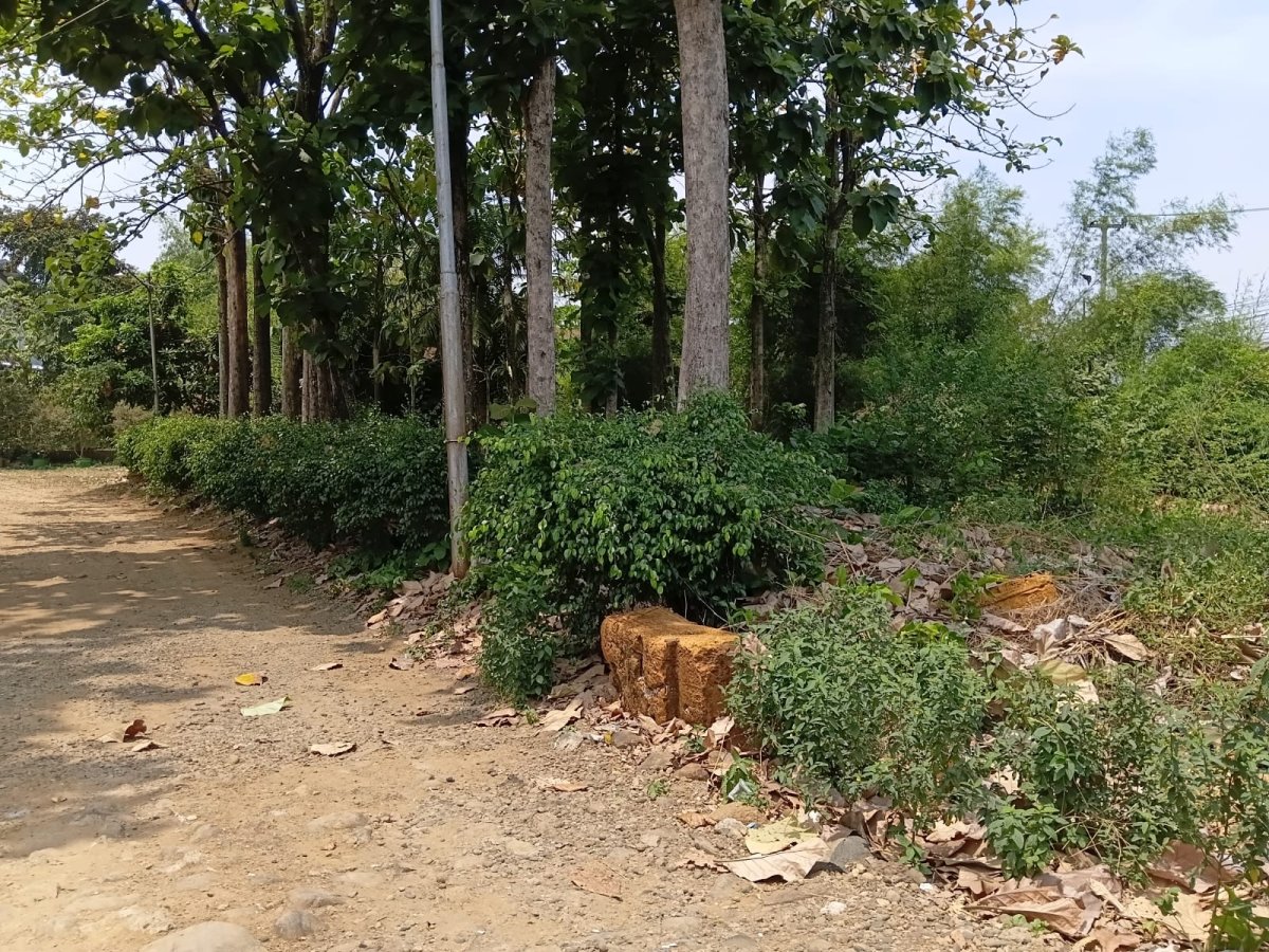 Tanah Asri di Jl. Pangeran Sogiri - Foto 10