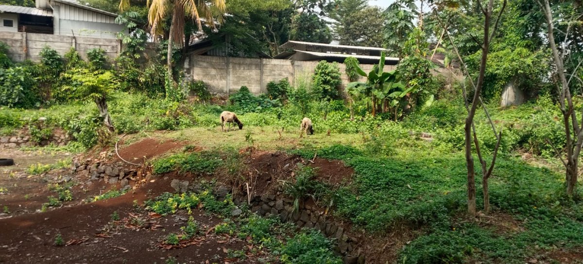 TANAH STRATEGIS DI JL. BARU KEMANG – SHOLEH ISKANDAR, BOGOR - Foto 12