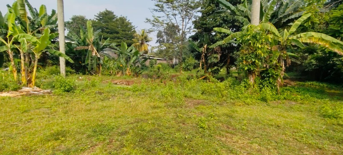 TANAH STRATEGIS DI JL. BARU KEMANG – SHOLEH ISKANDAR, BOGOR - Foto 13
